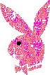 bunny.gif