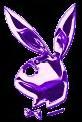 bunny2.jpg